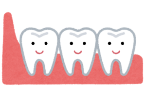 親知らずが埋まっている状態は危険 生え方に合わせた対策を 大崎の歯科 歯医者 大崎シティデンタル 丁寧で痛くない治療